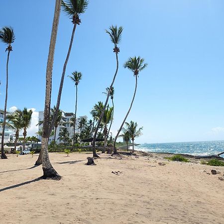 Jardines Del Mar Todas Las Amenidades Reserva Inmediata Villa Del Mar Εξωτερικό φωτογραφία